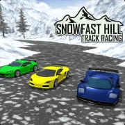 Snow Fast Hill Track Racing